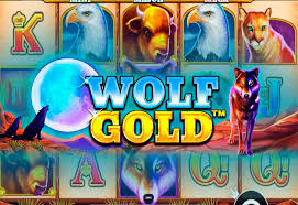 Play Wolf Gold 모험과 보상이 가득한 슬롯 게임